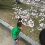 蒼