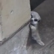 そらの画像