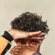 ランドノリスの画像