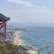 かしゅまるの画像