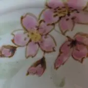 山吹色の画像
