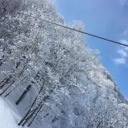 ルイス