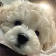 Image of るるーる✨