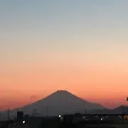 ぷくの画像