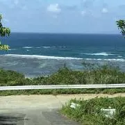夏