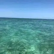 りりりの画像