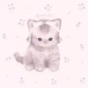 るーるの画像