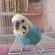 HIROの画像