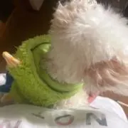 Mの画像