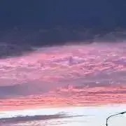 hpao505の画像