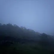 すらの画像