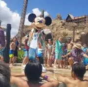 ジャジャの画像
