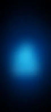 並品*修理歴* ソニーSONY SEL55F18Z FE55mmf1.8ZA - メルカリ