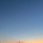 りんちゃんの画像