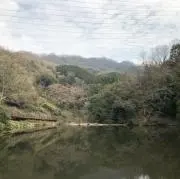 ＊即購入OK＊ミルク☆プロフ必読☆の画像