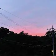 ふくろう