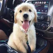 ビスティーユ