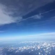 あおいくまの画像