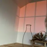 Sabotenの画像