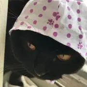 JIJIの画像