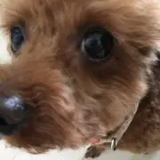 HAY!の画像