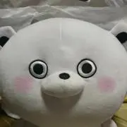 わらびもちの画像