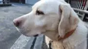 AIの画像