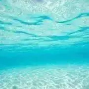 HANAの画像