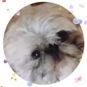Fuku☆fuku
