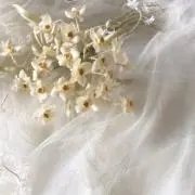 にこ