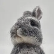 Whiskers' Journeyの画像
