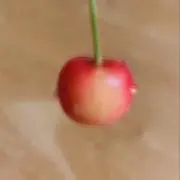 ぷちの画像