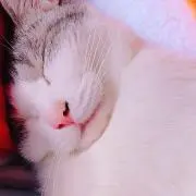 みくみく