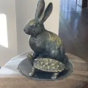 かめの画像