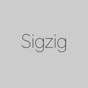 Sigzig【即購入OK】の画像
