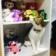 melunaの画像