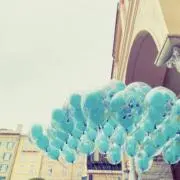 SAYOの画像