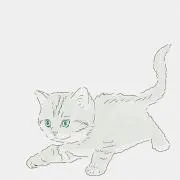 くま。の画像