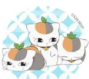pico