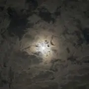KYOの画像