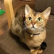 くりりん