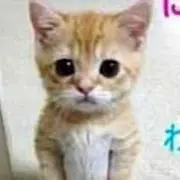 ♡ピーチ♡の画像