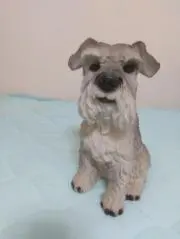 ひかるこの画像