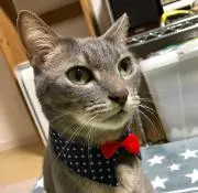 mugioの画像