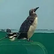たかじん