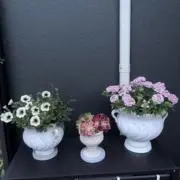 ららの画像