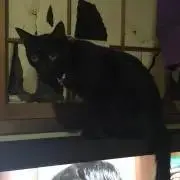 こうきかぁちゃん