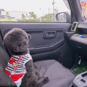 空良