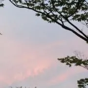 かー♡【プロフ必読】の画像