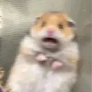 ててこ